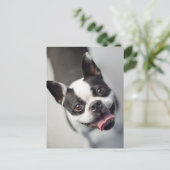 Kutest Baby Animals | Boston Bulldog Smile Briefkaart (Staand voorkant)