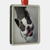Kutest Baby Animals | Boston Bulldog Smile Metalen Ornament (Rechts)