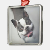 Kutest Baby Animals | Boston Bulldog Smile Metalen Ornament (Links)