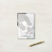 Kutest Baby Animals | Boston Bulldog Smile Post-it® Notes (Op bureau)