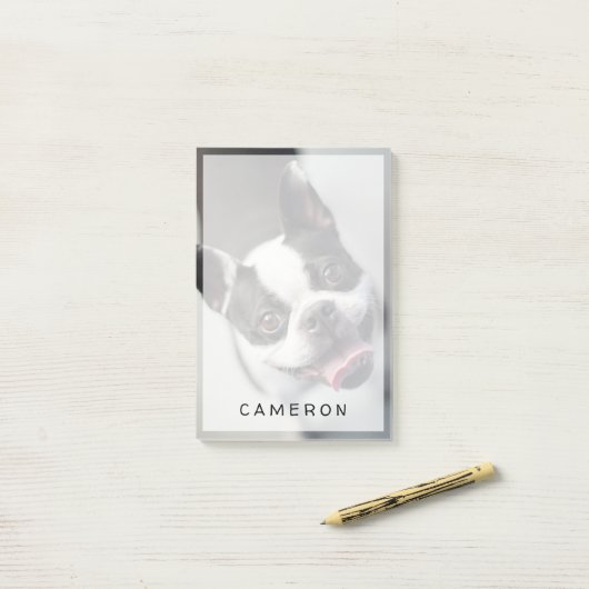 Kutest Baby Animals | Boston Bulldog Smile Post-it® Notes (Op bureau)