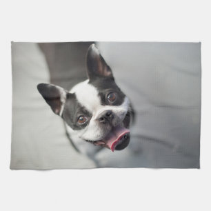 Kutest Baby Animals Boston Bulldog Smile Theedoek