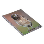 Kutest Baby Animals | Bouw van kippen Notitieboek (Rechterzijde)