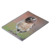 Kutest Baby Animals | Bouw van kippen Notitieboek (Linkerzijde)