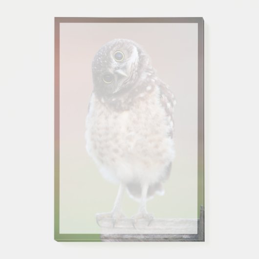 Kutest Baby Animals | Bouw van kippen Post-it® Notes (Voorkant)