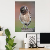 Kutest Baby Animals | Bouw van kippen Poster (Thuiskantoor)