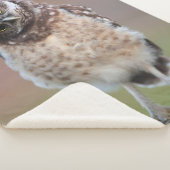 Kutest Baby Animals | Bouw van kippen Sherpa Deken (3/4)