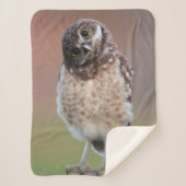 Kutest Baby Animals | Bouw van kippen Sherpa Deken (Voorkant)