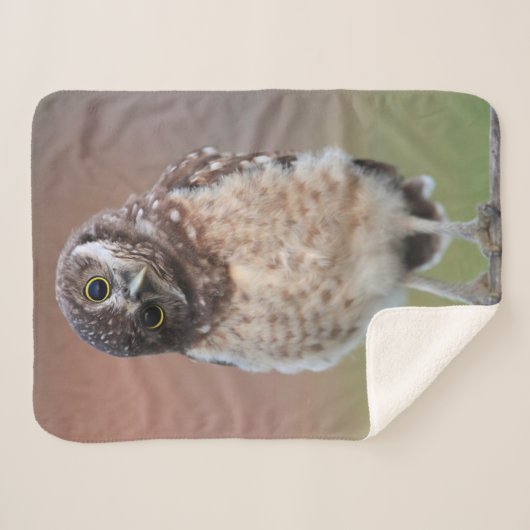 Kutest Baby Animals | Bouw van kippen Sherpa Deken (Voorkant (horizontaal))