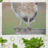 Kutest Baby Animals | Bouw van kippen Theedoek (Gevouwen)