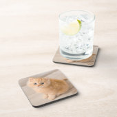 Kutest Baby Animals | British Longhair Kitten Bier Onderzetter (Rechterzijde)