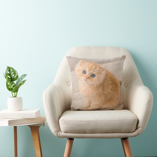 Kutest Baby Animals | British Longhair Kitten Kussen (Stoel)