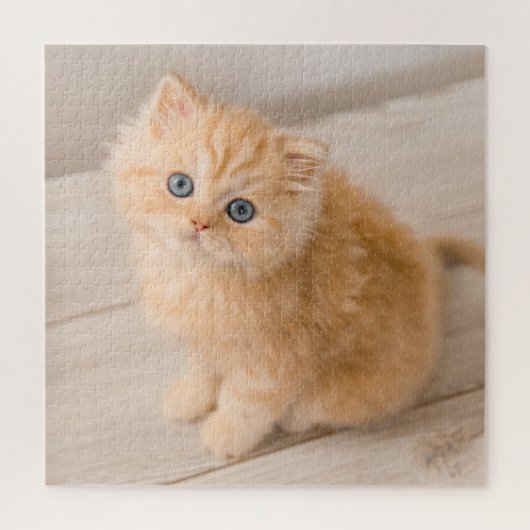 Kutest Baby Animals | British Longhair Kitten Legpuzzel (Verticaal)