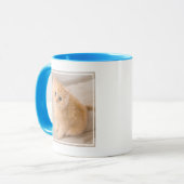 Kutest Baby Animals | British Longhair Kitten Mok (Voorkant links)