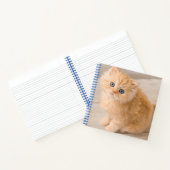 Kutest Baby Animals | British Longhair Kitten Notitieboek (Binnen)