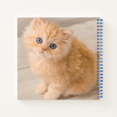 Kutest Baby Animals | British Longhair Kitten Notitieboek (Achterkant)