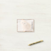 Kutest Baby Animals | British Longhair Kitten Post-it® Notes (Op bureau)