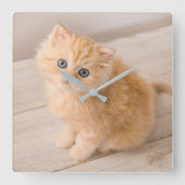 Kutest Baby Animals | British Longhair Kitten Vierkante Klok (Voorkant)