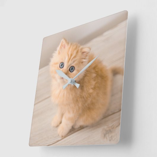Kutest Baby Animals | British Longhair Kitten Vierkante Klok (Hoek)