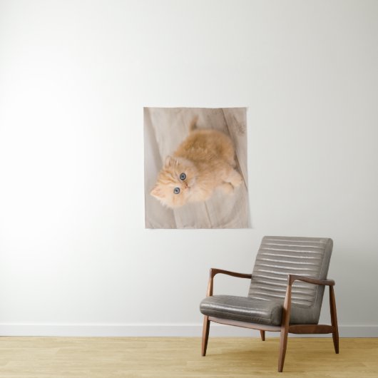 Kutest Baby Animals | British Longhair Kitten Wandkleed (In situ)