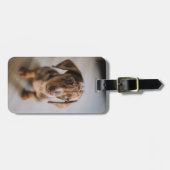 Kutest Baby Animals | Bruin Dachshund Puppy Bagagelabel (Voorkant horizontaal)