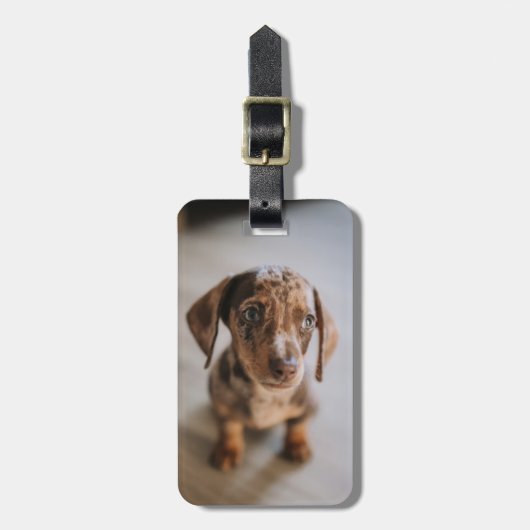 Kutest Baby Animals | Bruin Dachshund Puppy Bagagelabel (Voorkant verticaal)