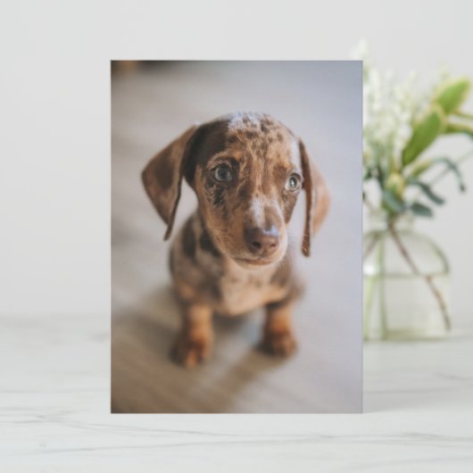 Kutest Baby Animals | Bruin Dachshund Puppy Bedankkaart (Staand voorkant)