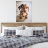 Kutest Baby Animals | Bruin Dachshund Puppy Canvas Afdruk (Insitu (Slaapkamer))