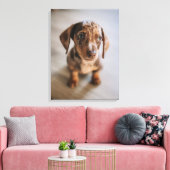 Kutest Baby Animals | Bruin Dachshund Puppy Canvas Afdruk (Insitu (Woonkamer))