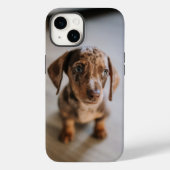 Kutest Baby Animals | Bruin Dachshund Puppy Case-Mate iPhone Case (Achterkant)