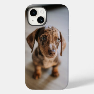 Kutest Baby Animals   Bruin Dachshund Puppy Case-Mate iPhone 14 Hoesje