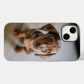 Kutest Baby Animals | Bruin Dachshund Puppy Case-Mate iPhone Case (Achterkant (horizontaal))