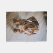 Kutest Baby Animals | Bruin Dachshund Puppy Fleece Deken (Voorkant (Horizontaal))