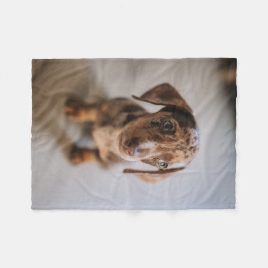 Kutest Baby Animals | Bruin Dachshund Puppy Fleece Deken (Voorkant (Horizontaal))