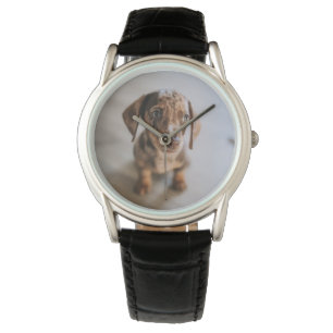 Kutest Baby Animals   Bruin Dachshund Puppy Horloge