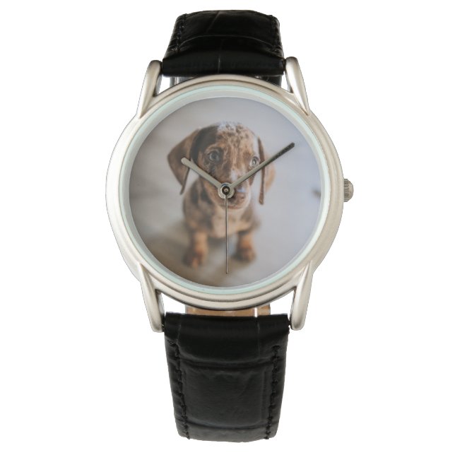 Kutest Baby Animals | Bruin Dachshund Puppy Horloge (Voorkant)