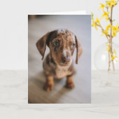 Kutest Baby Animals | Bruin Dachshund Puppy Kaart (Gele Bloem)