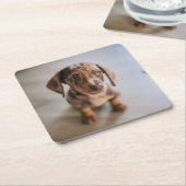Kutest Baby Animals | Bruin Dachshund Puppy Kartonnen Onderzetters (Schuin)