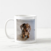 Kutest Baby Animals | Bruin Dachshund Puppy Koffiemok (Links)