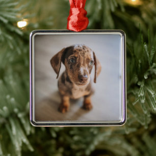 Kutest Baby Animals   Bruin Dachshund Puppy Metalen Ornament