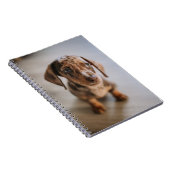 Kutest Baby Animals | Bruin Dachshund Puppy Notitieboek (Rechterzijde)