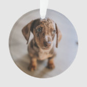 Kutest Baby Animals | Bruin Dachshund Puppy Ornament (voorkant)