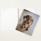 Kutest Baby Animals | Bruin Dachshund Puppy Planner (Display)