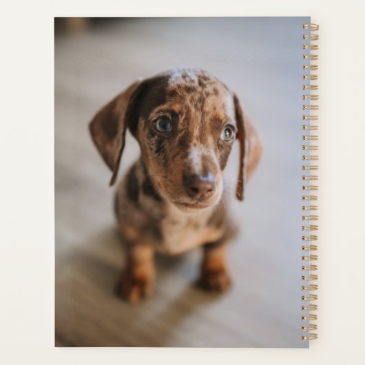 Kutest Baby Animals | Bruin Dachshund Puppy Planner (Achterkant)