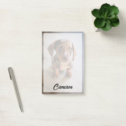 Kutest Baby Animals | Bruin Dachshund Puppy Post-it® Notes (Kantoor)