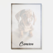 Kutest Baby Animals | Bruin Dachshund Puppy Post-it® Notes (Voorkant)