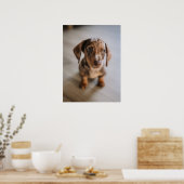 Kutest Baby Animals | Bruin Dachshund Puppy Poster (Keuken)