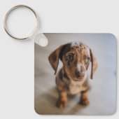 Kutest Baby Animals | Bruin Dachshund Puppy Sleutelhanger (Voorkant)