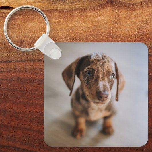 Kutest Baby Animals | Bruin Dachshund Puppy Sleutelhanger (Voorkant)