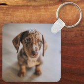 Kutest Baby Animals | Bruin Dachshund Puppy Sleutelhanger (Achterkant)